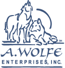 amy wolfe enterprise